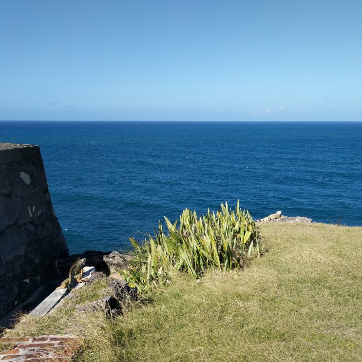 The forts of San Juan picture 49372