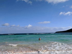 Trip to Culebra Island (January 2019) Trip to Culebra Island (January 2019)