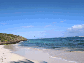 Fishing pelicans (January 2019) Fishing pelicans (January 2019)