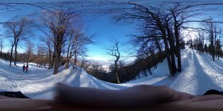 Slovakia (February 2019) Slovakia (February 2019)