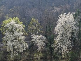 Praha (Apríl 2019) Praha (Apríl 2019)