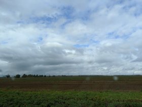 Mushroom picking (October 2019) Mushroom picking (October 2019)