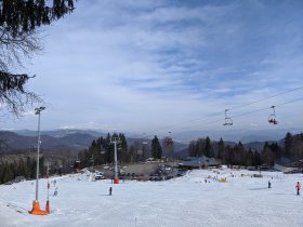 Králiky (February 2020) Králiky (February 2020)