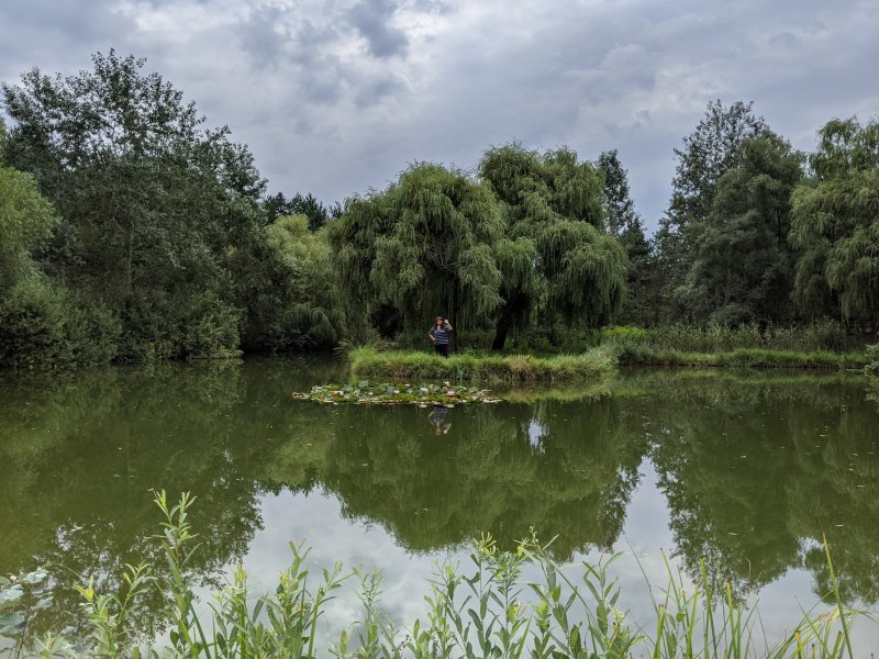 Sziget - tiny island in a tiny pond