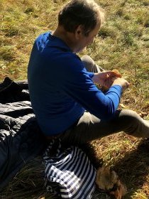 Mushrooms picking (November 2020) Mushrooms picking (November 2020)