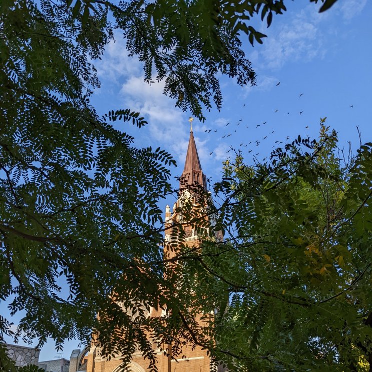 Presentation of the Blessed Virgin Mary Parish