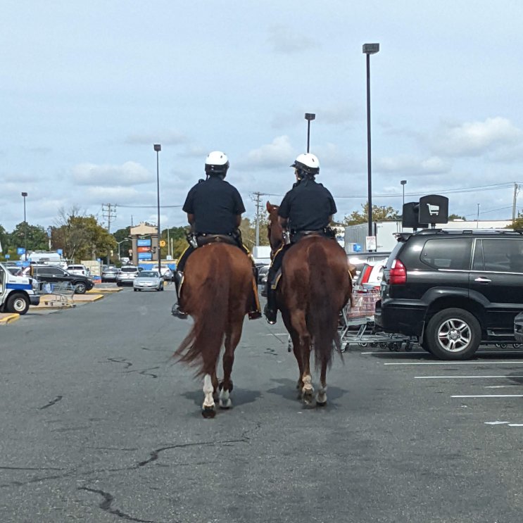 Mounted police