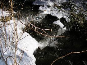Nature (January 2005) Nature (January 2005)