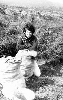 Potato brigade (September 1981) Potato brigade (September 1981)
