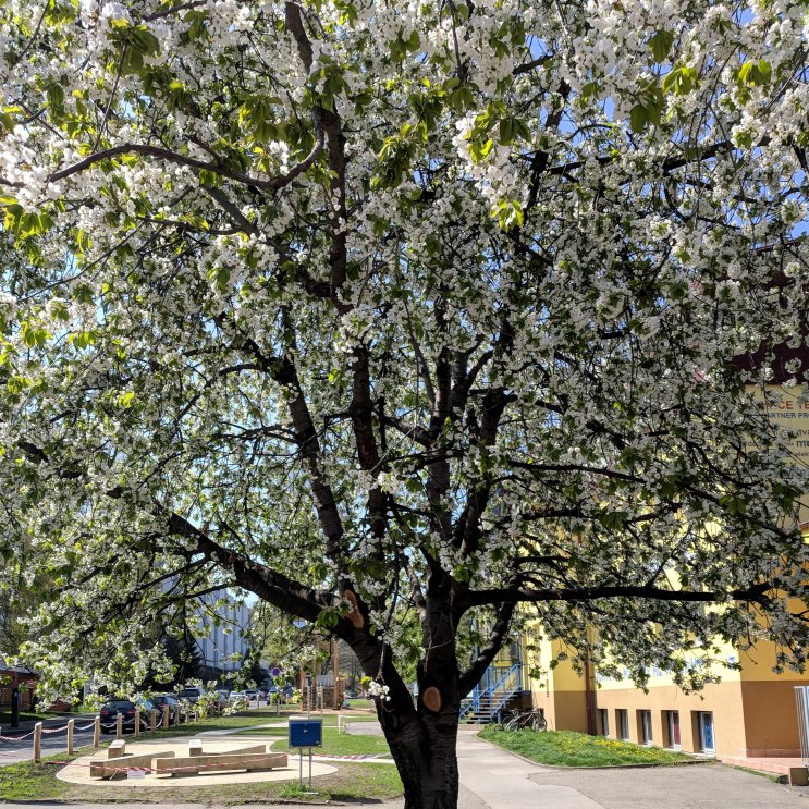 Prague - Dejvice (April 2018)