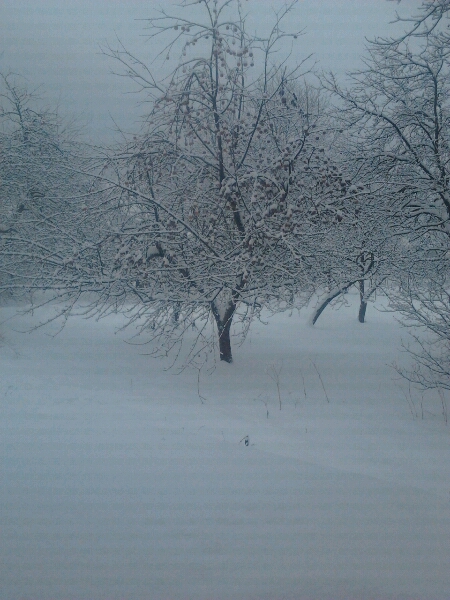 Zima a sneh (December 2012)