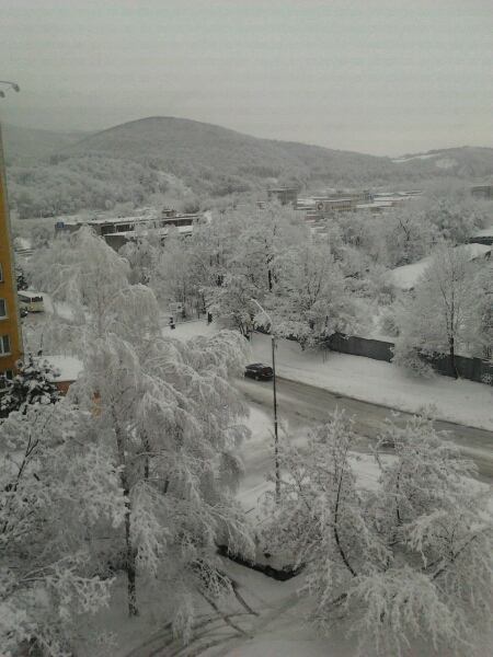 Zima a sneh (Februr 2013)