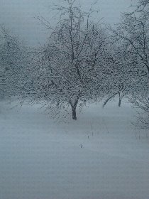 Winter and snow (December 2012) Winter and snow (December 2012)
