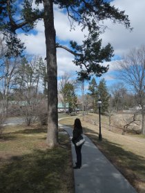 Squirrel (March 2015) Squirrel (March 2015)