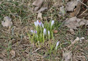 Princeton (March 2015) Princeton (March 2015)