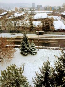 Winter 2016/2017 (November 2016) Winter 2016/2017 (November 2016)