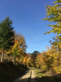 Fugerov Dvor (October 2017) Fugerov Dvor (October 2017)