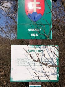 Gavurky - oak park (April 2018) Gavurky - oak park (April 2018)