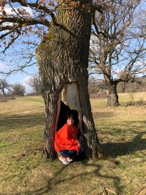 Gavurky - oak park (April 2018) Gavurky - oak park (April 2018)