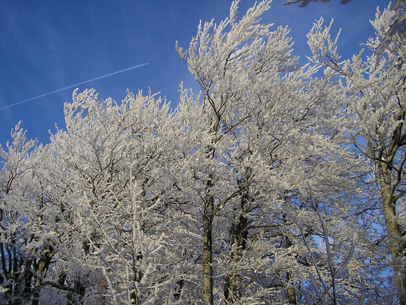 Zima na Slovensku (November 2007)