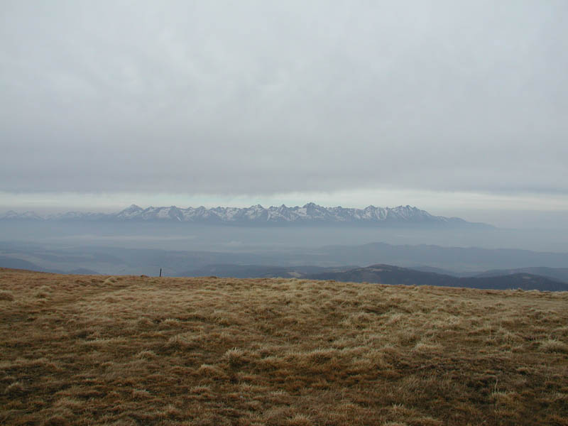 Tatry - about 20 miles afar