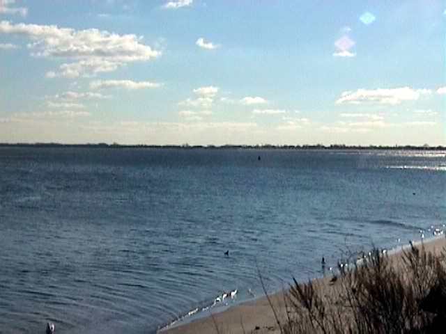 Ocean view from outside the classroom picture 4238