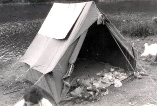 Bystřička '87 - stanovačka na Moravskej priehrade (Júl 1987) Bystřička '87 - stanovačka na Moravskej priehrade (Júl 1987)