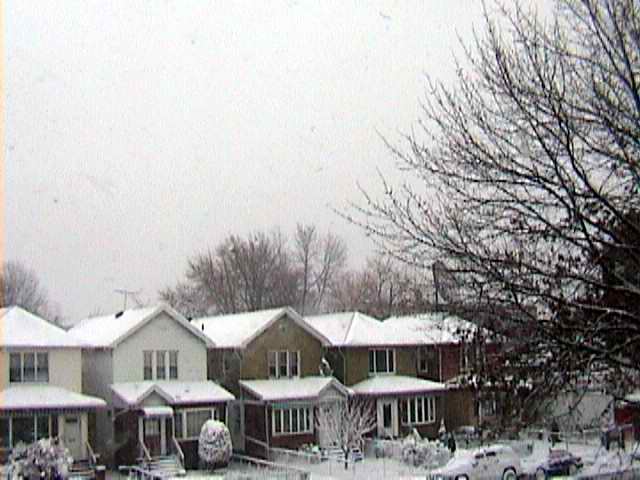 Original houses on Ocean Ave (December 2003)