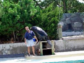 New York Aquarium (August 2004)