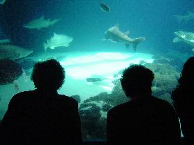 Brooklyn Aquarium (May 2005)