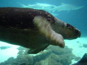 Brooklyn Aquarium (May 2005)