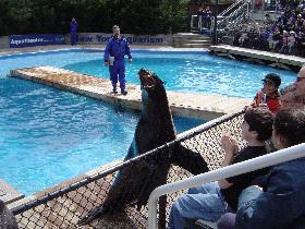 Brooklyn Aquarium (May 2005) Brooklyn Aquarium (May 2005)