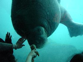 Brooklyn Aquarium (May 2005)