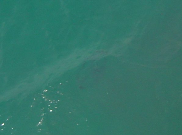Huge blue jelly-fish near the ferry-boat (July 2005)
