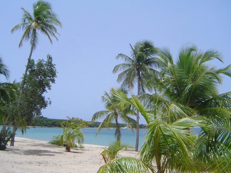 Sun Bay (July 2005)
