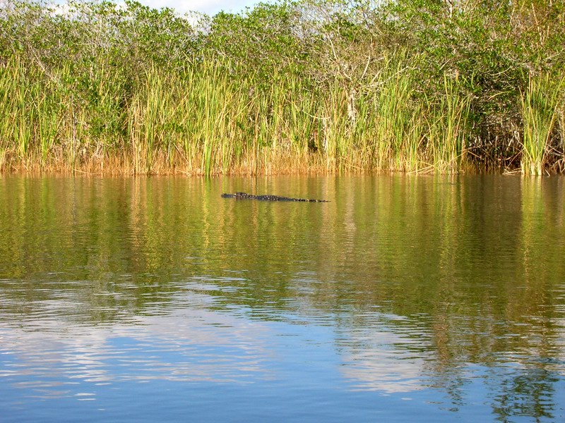 Everglades National Park (December 2005)