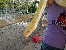 Milena and snake (December 2005)