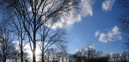 Marine Park - 'A Tree And A Squirrel' (March 2006)