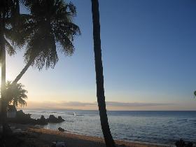 Barbecue under palm trees (April 2006)