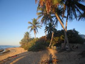 Barbecue under palm trees (April 2006)