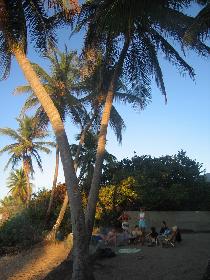 Barbecue under palm trees (April 2006)