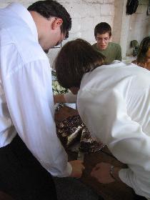 The Wedding Cake Cutting (May 2006)