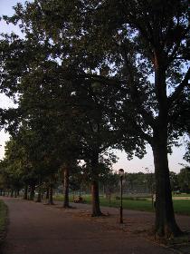 Marine Park, Brooklyn (September 2006)