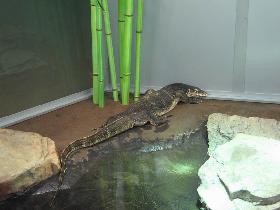 Water Monitor (September 2006)