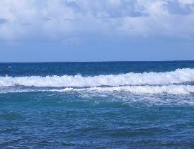 Sea waves (December 2006)