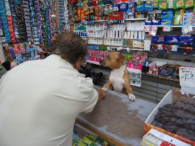 Cashier on Avenue U (September 2007) Cashier on Avenue U (September 2007)