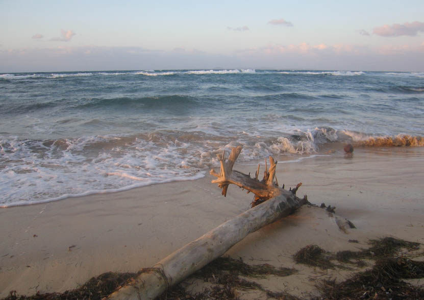 Evening on La Chata Beach, Vieques (March 2007)