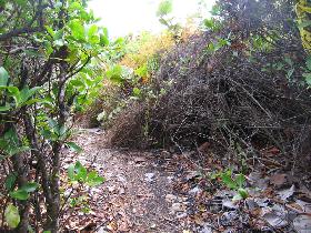 Dry jungle around (April 2007)