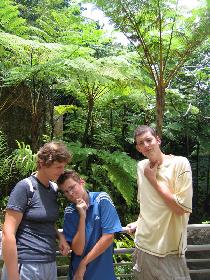 El Yunque - ferns are realy bigger here... (August 2007)
