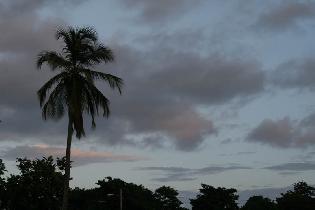 An evening stroll (July 2007)